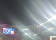 开云体育下载-球队晋级季后赛，球迷集体庆祝胜利的简单介绍