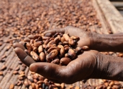 开云足球直播-包含摩洛哥选手表现亮眼，收获成功果实的词条