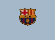 开云体育中国-拉沃尔杯鏖战联合杯，梅德韦杰夫点燃赛场，网坛新纪元在碰撞中诞生