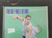 开云体育登录-中国羽毛球队爆冷丹麦羽毛球队，马琳统治全场的简单介绍