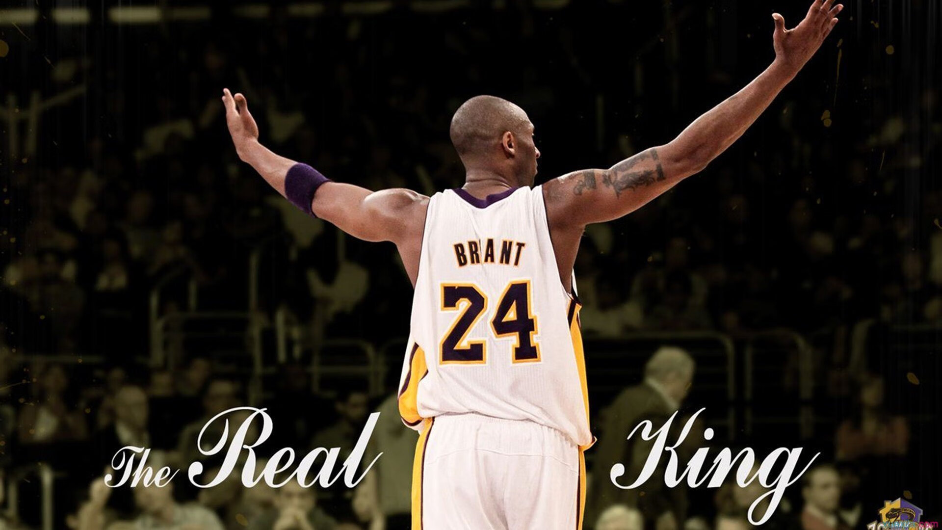 文班亚马全程高能输出，爵士单节冰封鹈鹕，一场关于节奏与韧性的现代篮球启示录