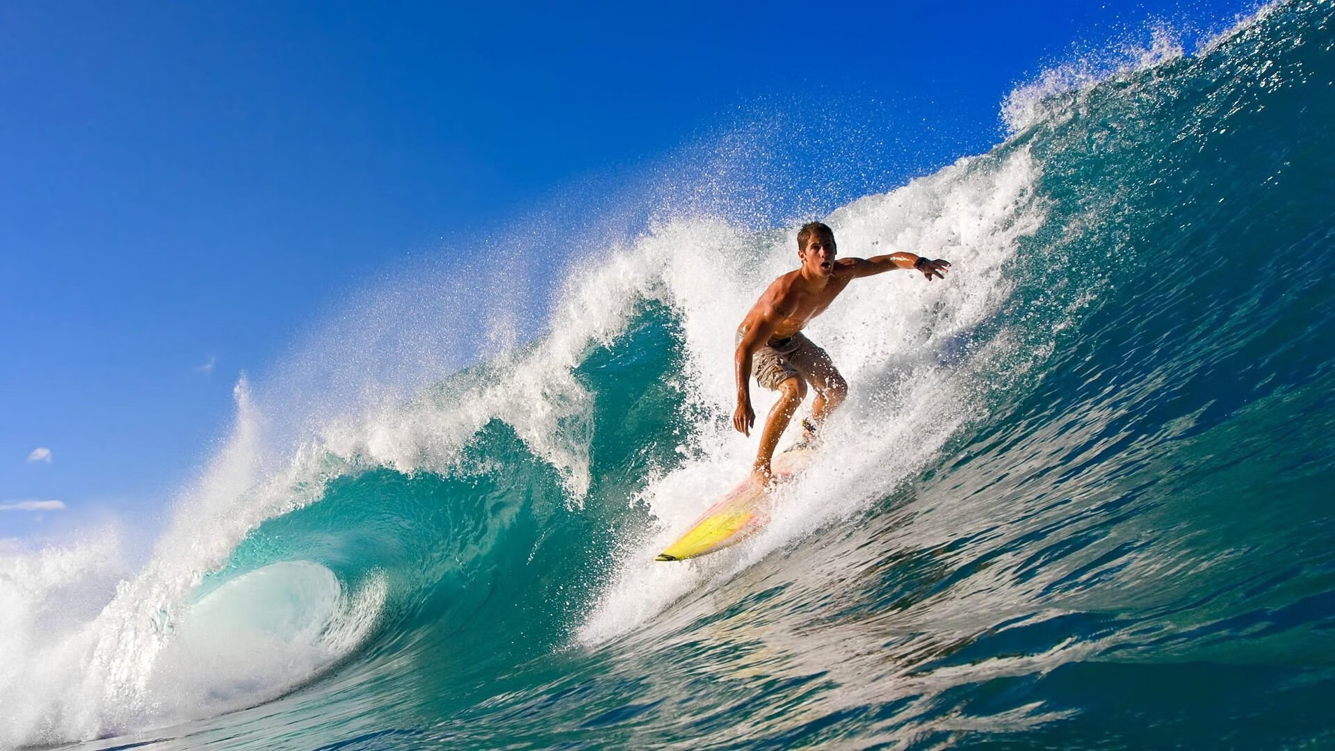 赛道上的逆袭,塞恩斯高光表现,雷诺轻取威廉姆斯